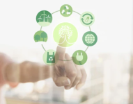 Compras digitales sostenibles