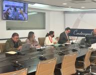 Imagen de la sesión del Pleno del Consejo de la Judicatura.