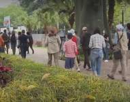 Se realizó en Guayaquil el conteo navideño de aves denominado Entre Plumas y Manglares