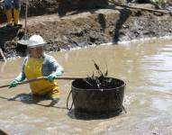 Proceso de remediación ambiental.