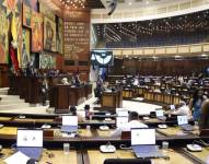 La polémica ley de protección de derechos animales (Lopda) se revolverá con la Asamblea entrante