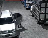 Delincuentes drogan a perros para robar