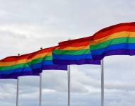 Imagen de referencia de banderas de la comunidad LGBTIQ+