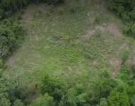 Narcoguerrilleros se han tomado islotes en el río Putumayo para sembrar hojas de Coca