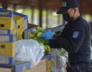 La Policía revisa un cargamento con banano donde se ha detectado indicios de contaminación de droga.