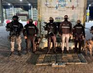 50 bloques de droga estaban ocultos en el contenedor.