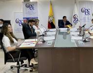 Pleno del CPCCS.