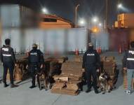 Los policías utilizaron canes para la detección de la droga.
