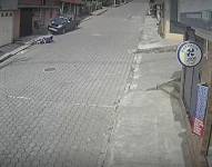 Quito: video registra atropello a dos censistas