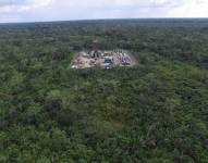 Imagen de archivo del parque nacional Yasuní.