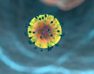 Virus del VIH en el sistema humano. Foto: Pixabay / Archivo