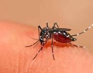 Los casos del dengue han aumentado en un 40% en Ecuador