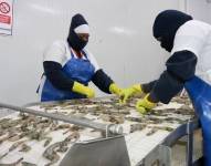 En los productos congelados se hicieron controles exhaustivos antes de ingresar a China (foto referencial).