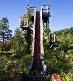 20 imágenes de lo que la naturaleza reclama que hemos abandonado