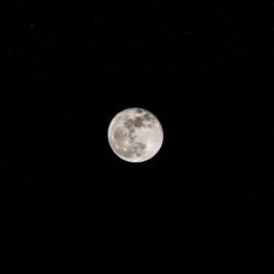 Fotografía de una luna llena.