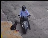 Motociclista le arrebata el juguete a un perrito en plena vía.