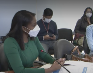 Fiscal general del Estado, Diana Salazar.