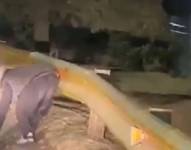 El sospechoso fue captado en video, supuestamente intentando iniciar un incendio forestal.