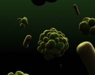 La vista microscópica de la muestra sorprendió a los cibernautas, que &#039;corrieron&#039; a limpiar sus propios lavamanos.