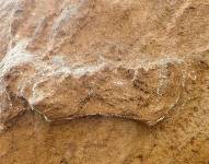 Se trata de la primera vez en la que se logra traducir textos de una lengua antigua automáticamente.