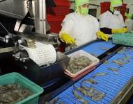 Sector productivo de Ecuador. Archivo