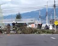 Manifestantes cierran las vías en Imbabura