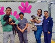 Una pareja adoptó a dos canes que eran golpeados por su antiguos tutores.