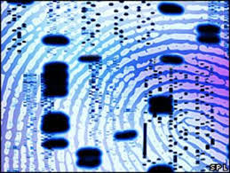 Pruebas de ADN para inculpar a delincuentes en tan sólo 4 horas
