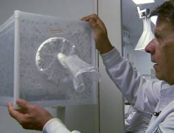 Infectando al Mosquito