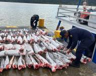 Imagen de archivo de marinos colombianos colocando parte de un cargamento pescado ilegalmente.