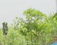 Una foto referencial del recinto Buena Fe de Yaguachi.