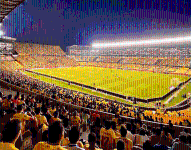 El Comité de Operaciones de Emergencia (COE) Nacional resolvió autorizar la solicitud presentada por el Barcelona de disputar el enfrentamiento previsto para el 29 de septiembre contra el Flamengo con un 30%