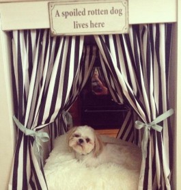 Originales habitaciones para perros