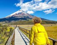 El agua de las lagunas del Parque proviene de deshielos del volcán.