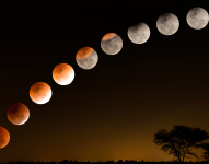 Cuándo cortarse el cabello según el calendario Lunar