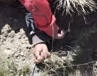 Los dos niños fueron encontrados en zonas distintas.