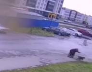 Según testigos, ni el valiente sujeto ni su fiel compañero resultaron seriamente lastimados.