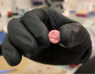 La difícil batalla para frenar la venta de drogas a través de la red oscura