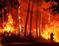 Los fuegos en los que se quema vegetación son los más frecuentes, pero también hay incendios sin llamas.