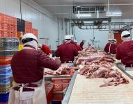 Los empleados de empresa de alimentos en Durán (Guayas).