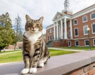 Max frente a Woodruff Hall en el campus Castleton de la Universidad Estatal de Vermont.
