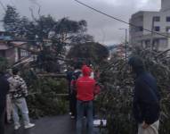 Imagen del accidente registrado en el norte de Quito.