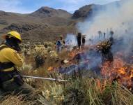 Cerca de 80 bomberos de distintas provincias llegaron hasta la Reserva El Ángel para apoyar en las labores de extinción del fuego.