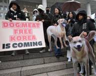 Corea del Sur aprobó una ley que prohíbe a partir de 2027 la venta de carne de perro.