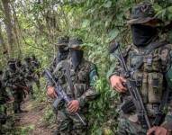 Se estima que un tercio de los 9 000 miembros del EGC actúan como un ejército que disputa el control territorial a otros grupos armados en Colombia.