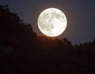 Imagen referencial de superluna en el cielo nocturno.