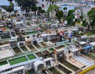 El sábado 1 de noviembre, a las 14h30, se realizará un recorrido cultural por el Cementerio de La Magdalena.