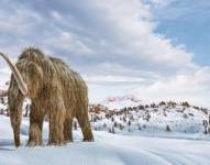 Los mamuts lanudos se extinguieron hace milenios, pero la ingeniería genética podría traerlos de vuelta a la Tierra.