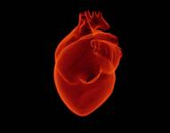 Además la falta de hierro se asocia con el desarrollo con mayor frecuencia un remodelado adverso del corazón. Pixabay