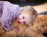 Científicos podrían estar cerca de crear gatos hipoalergénicos